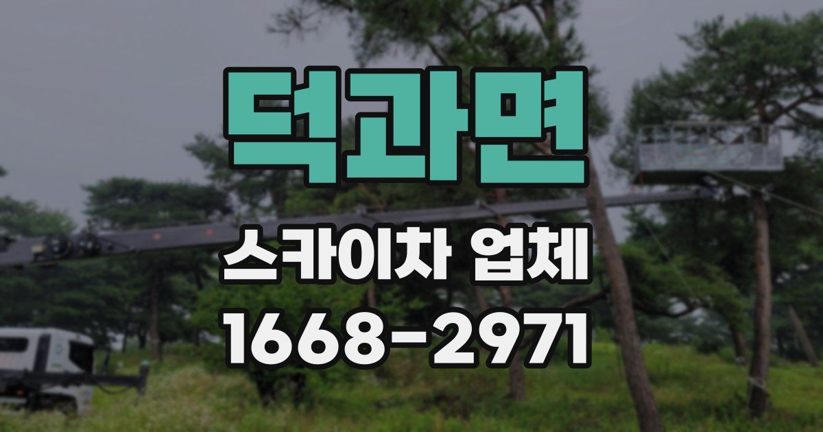 덕과면 스카이차 업체