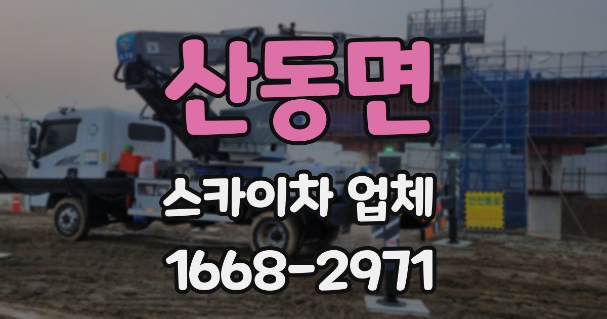 산동면 스카이차 업체