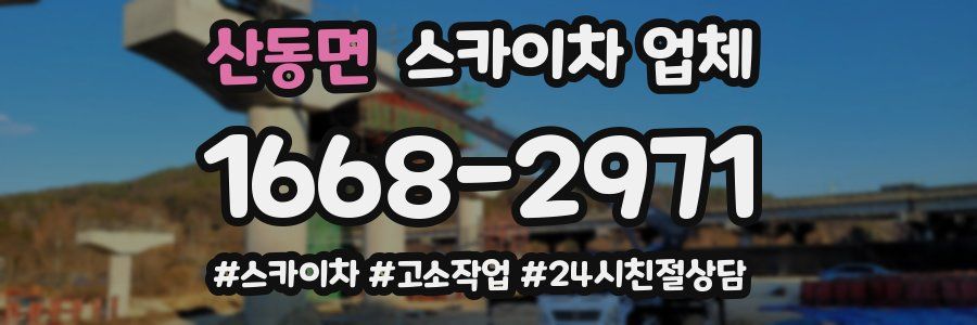 산동면 스카이차 업체