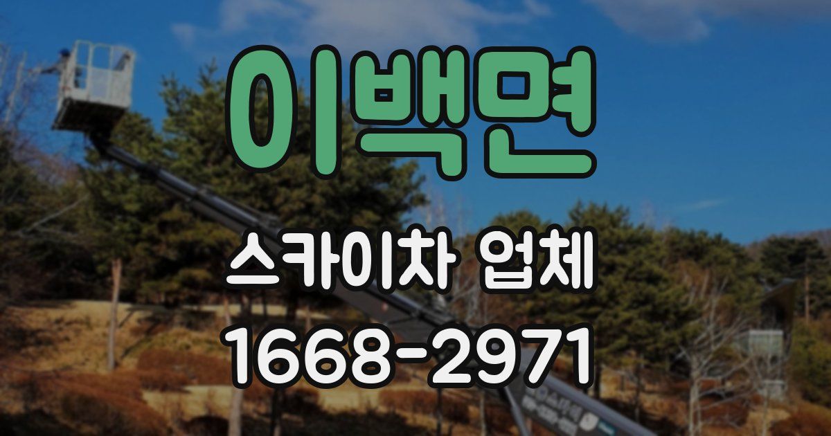 이백면 스카이차 업체