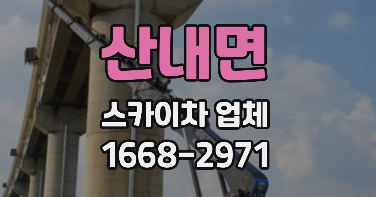산내면 스카이차 업체