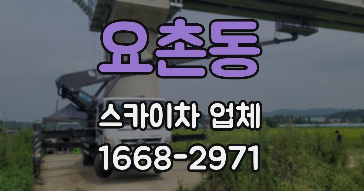 요촌동 스카이차 업체