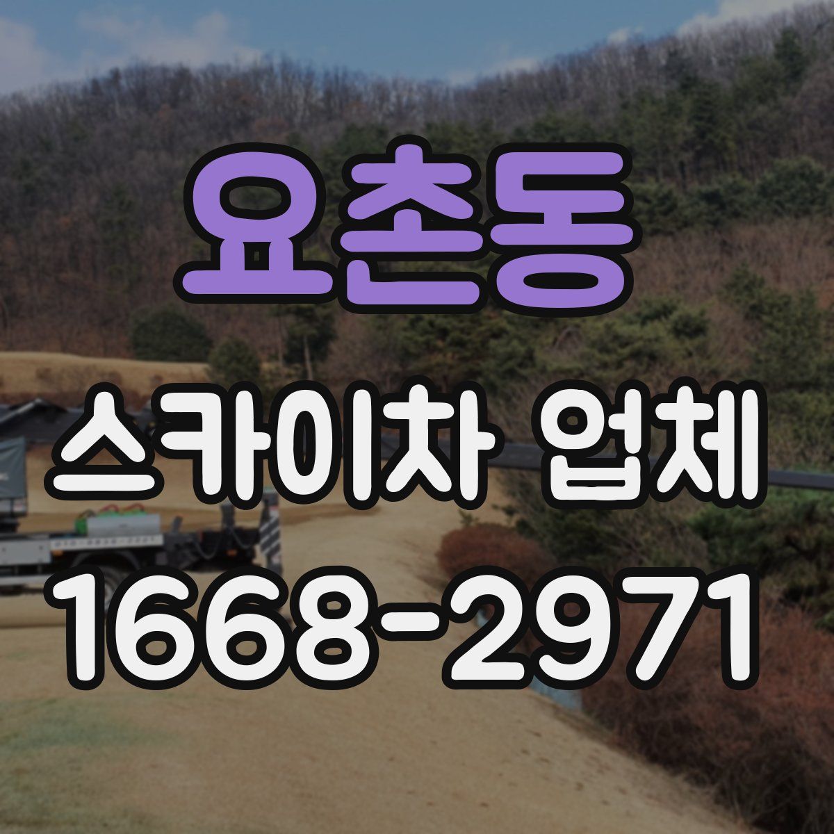 요촌동 스카이차 업체