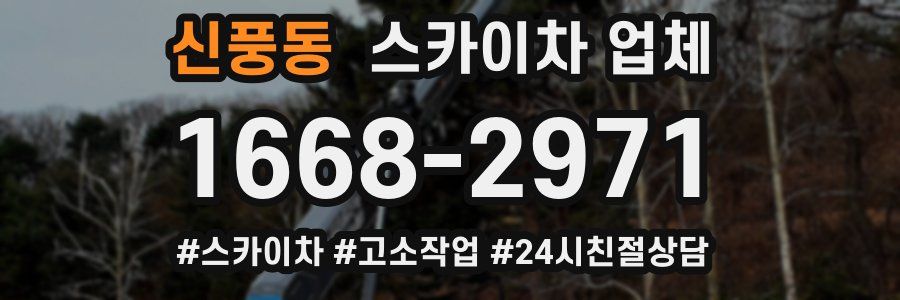 신풍동 스카이차 업체