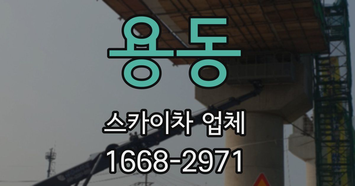 용동 스카이차 업체
