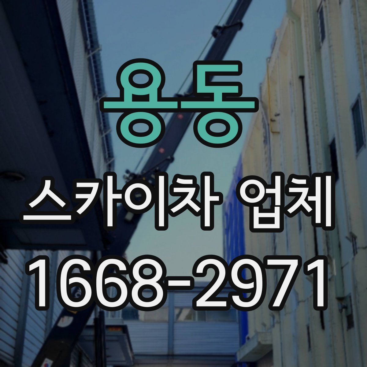 용동 스카이차 업체