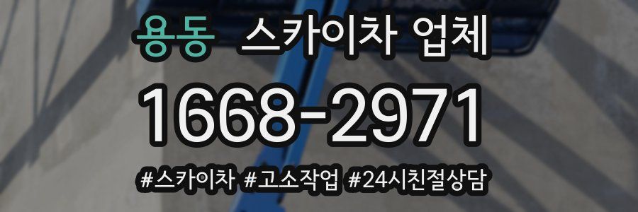 용동 스카이차 업체