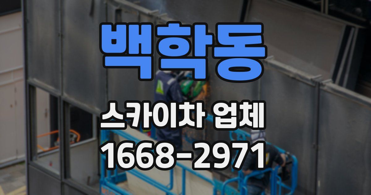백학동 스카이차 업체