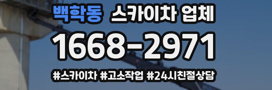 백학동 스카이차 업체
