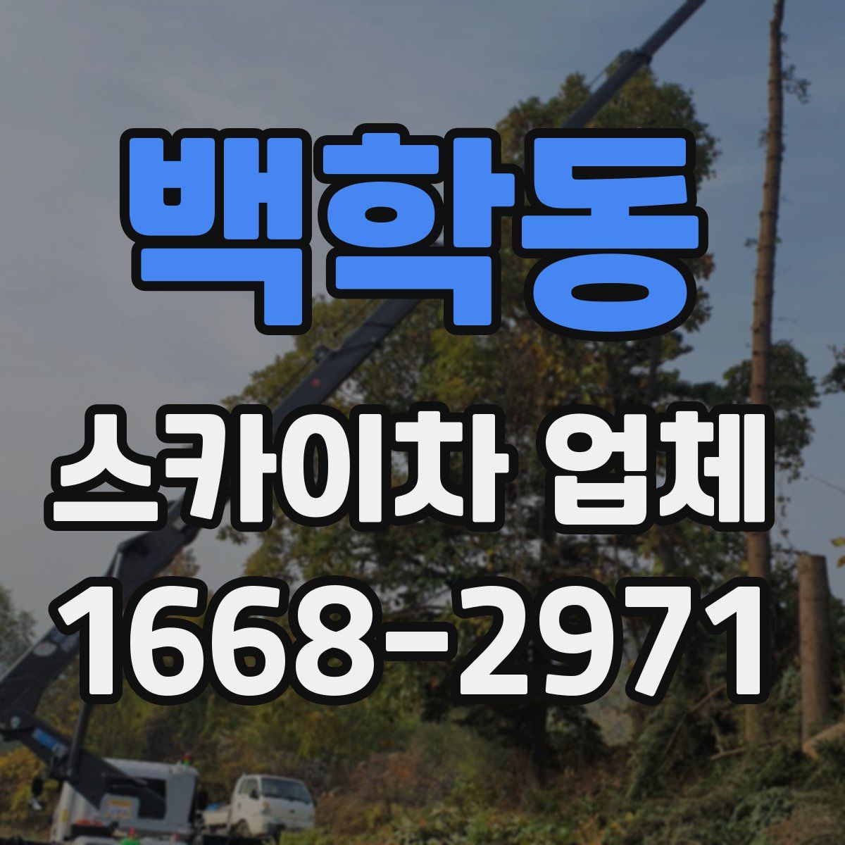 백학동 스카이차 업체