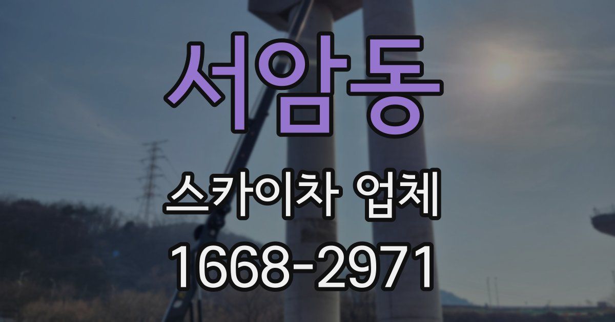 서암동 스카이차 업체
