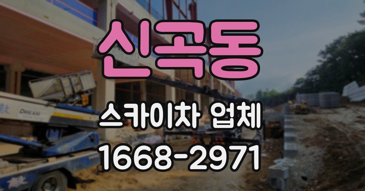 신곡동 스카이차 업체