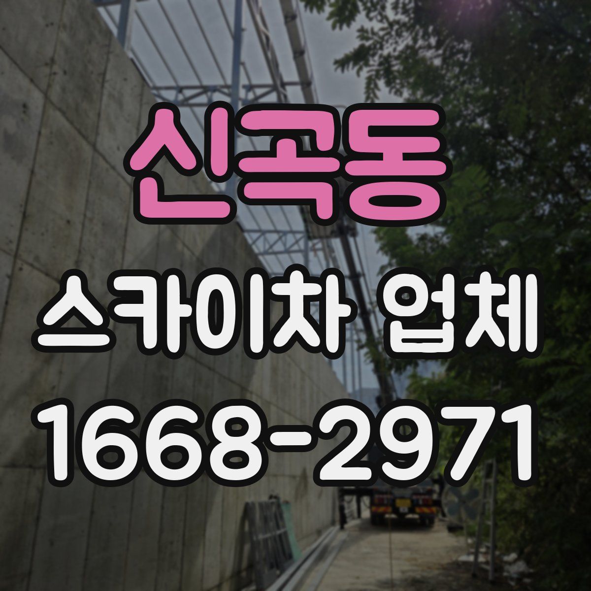 신곡동 스카이차 업체