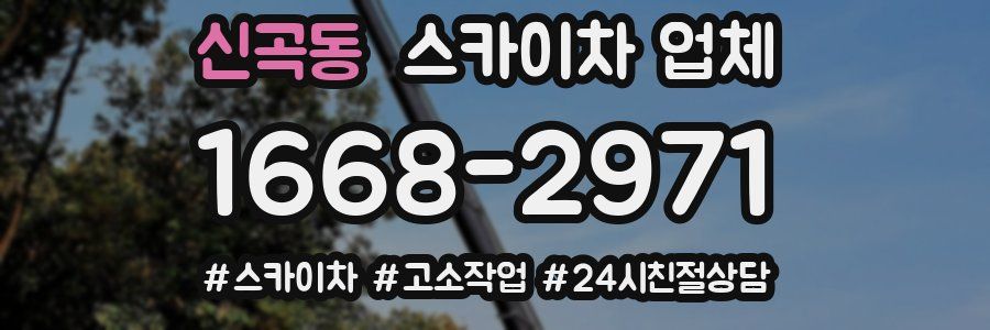 신곡동 스카이차 업체