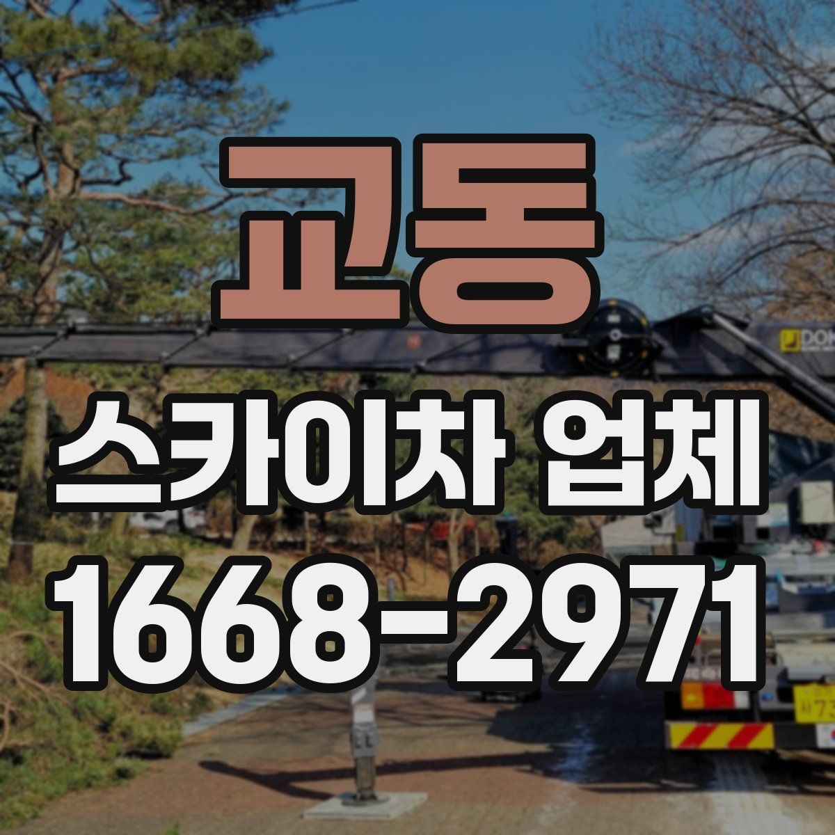 교동 스카이차 업체