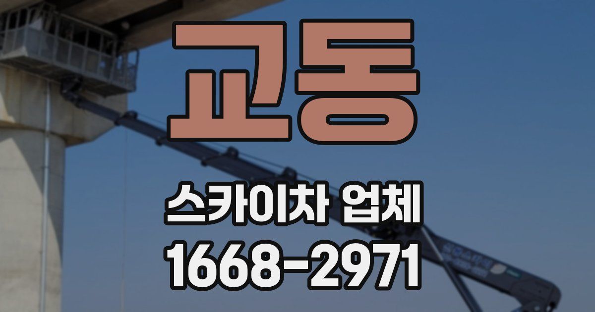 교동 스카이차 업체