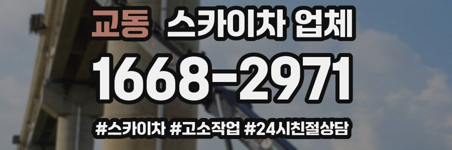 교동 스카이차 업체