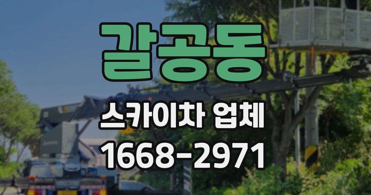 갈공동 스카이차 업체