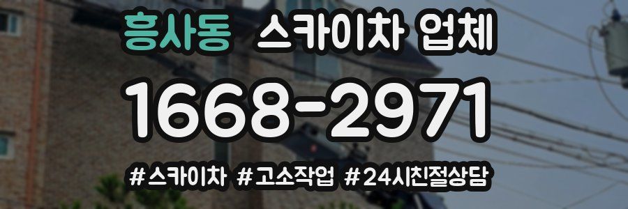 흥사동 스카이차 업체