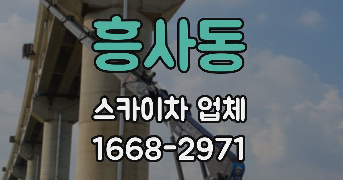 흥사동 스카이차 업체