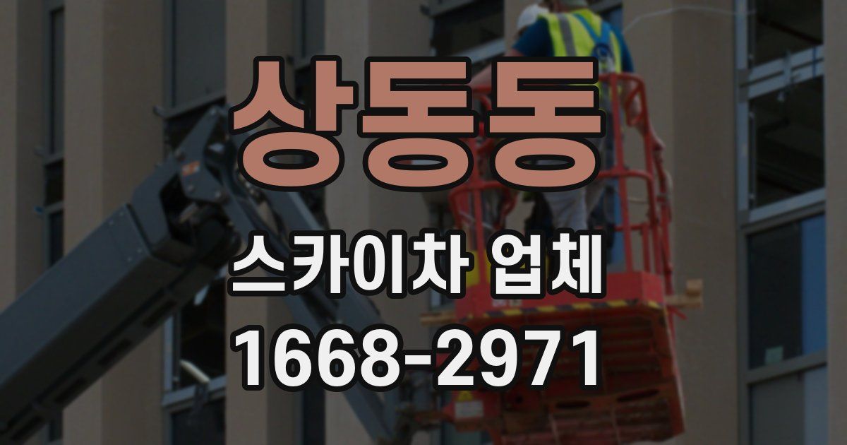 상동동 스카이차 업체