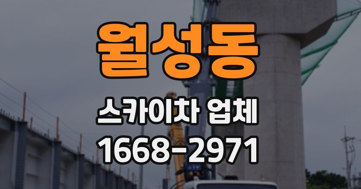 월성동 스카이차 업체