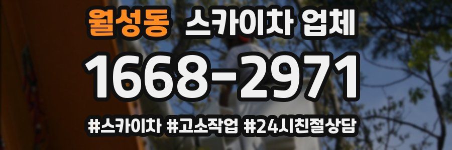 월성동 스카이차 업체