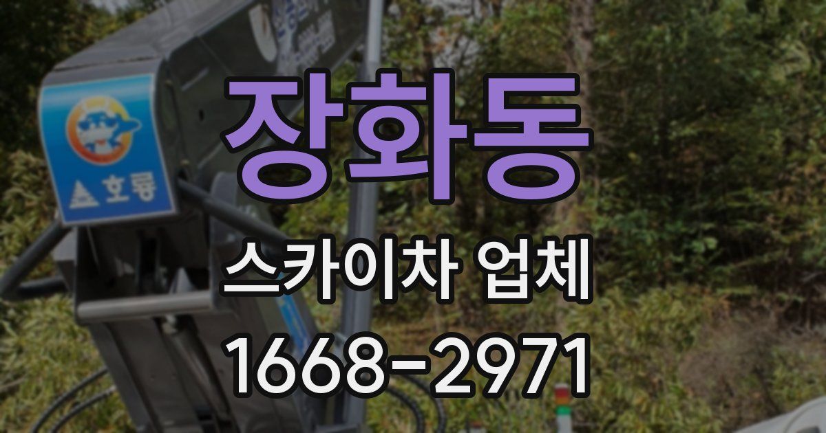장화동 스카이차 업체