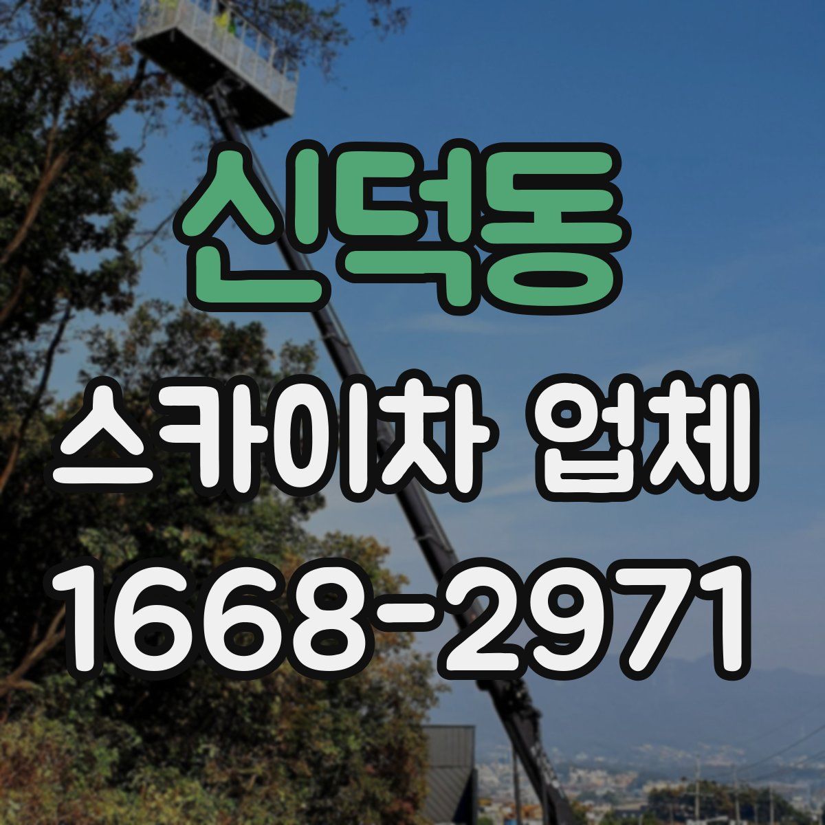 신덕동 스카이차 업체