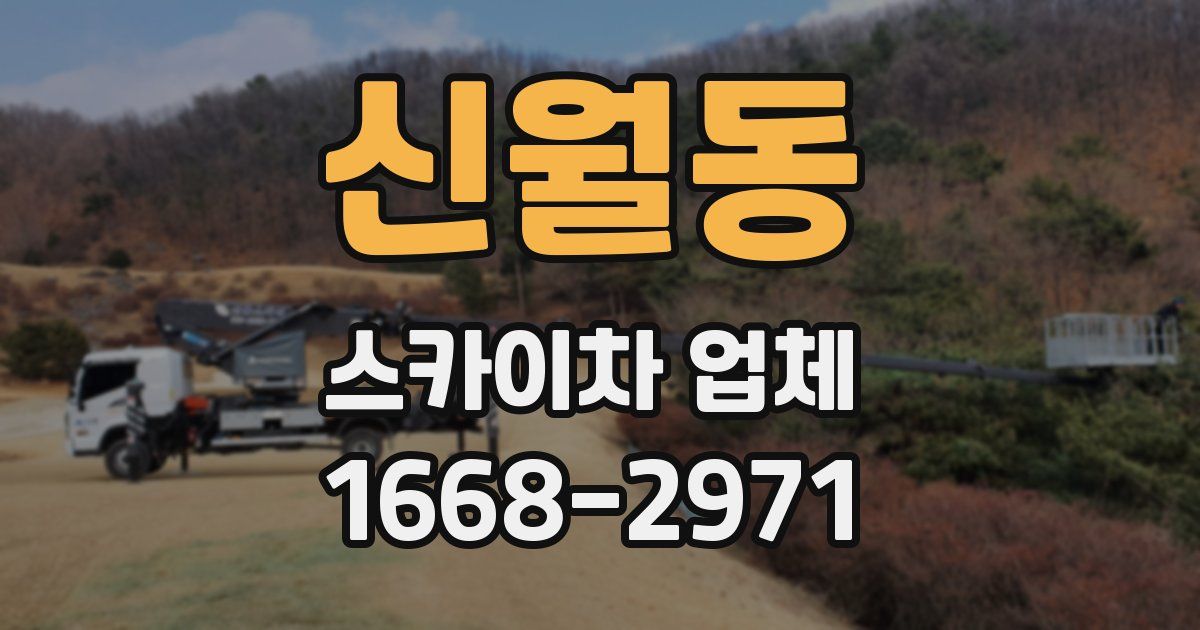 신월동 스카이차 업체