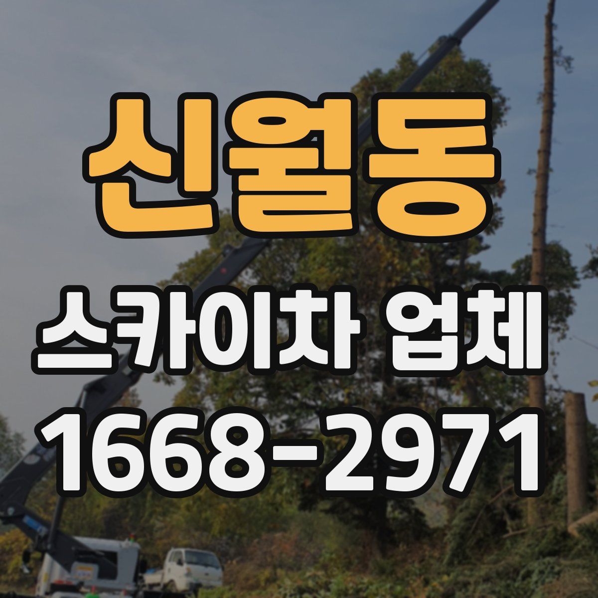 신월동 스카이차 업체