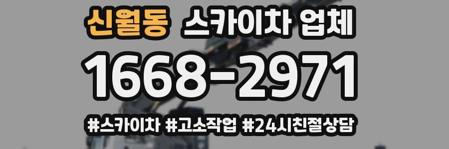 신월동 스카이차 업체