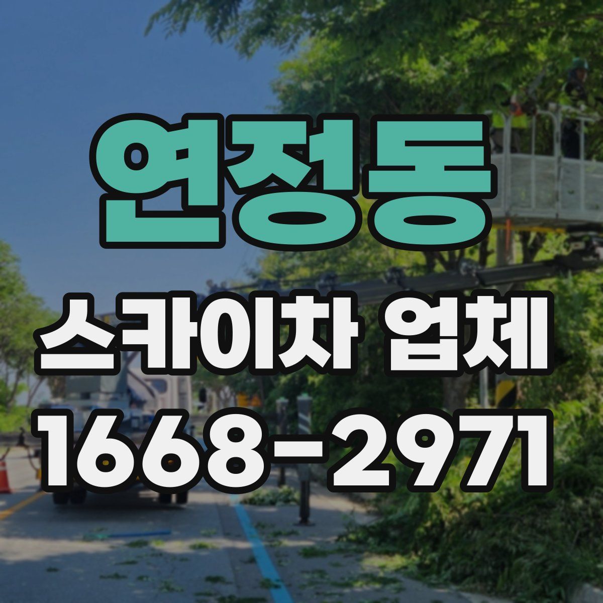 연정동 스카이차 업체