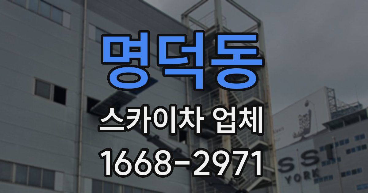 명덕동 스카이차 업체
