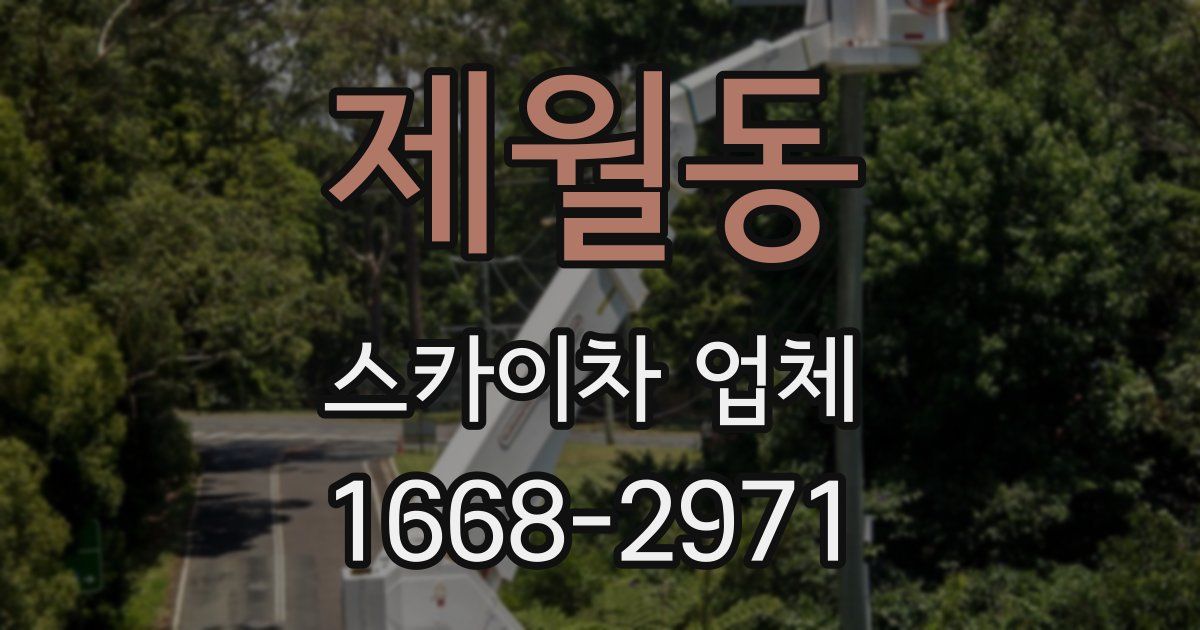 제월동 스카이차 업체