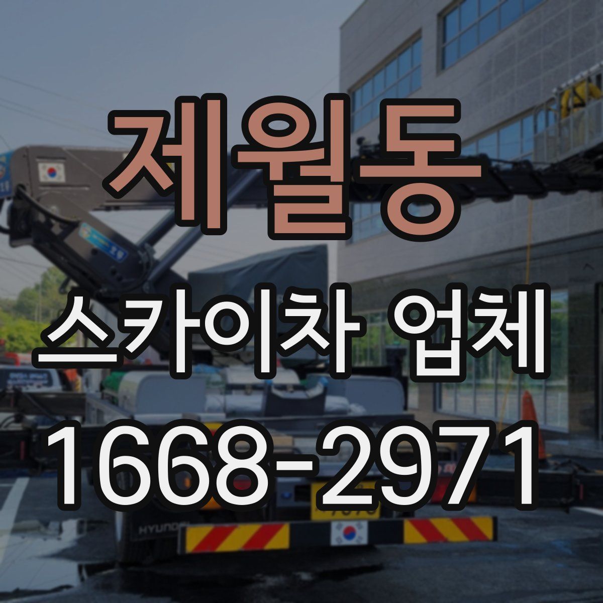 제월동 스카이차 업체