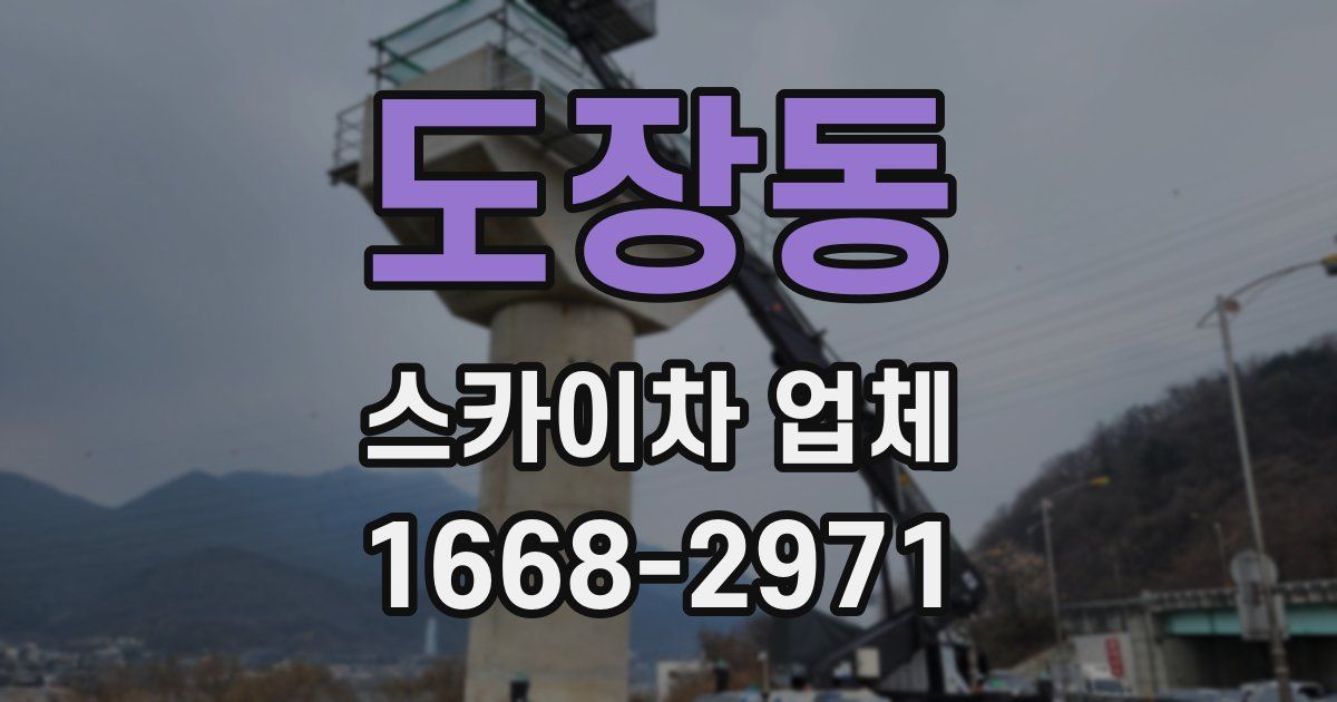 도장동 스카이차 업체