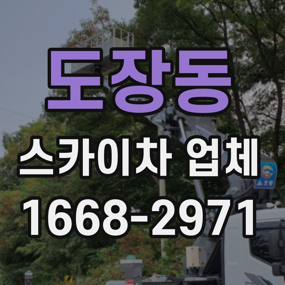도장동 스카이차 업체