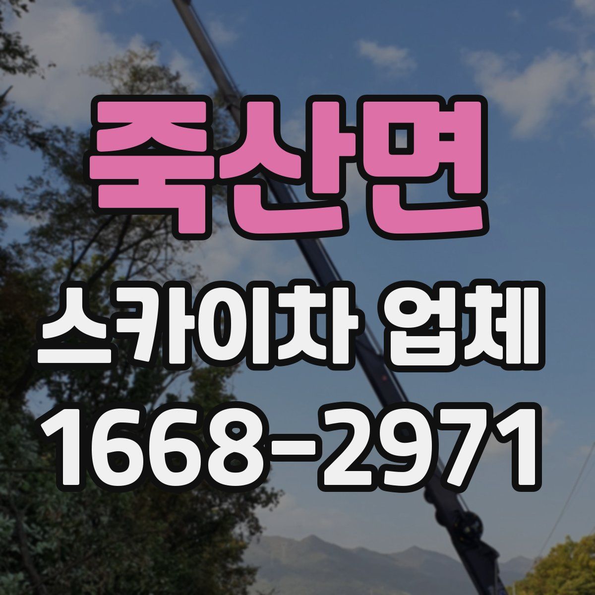 죽산면 스카이차 업체