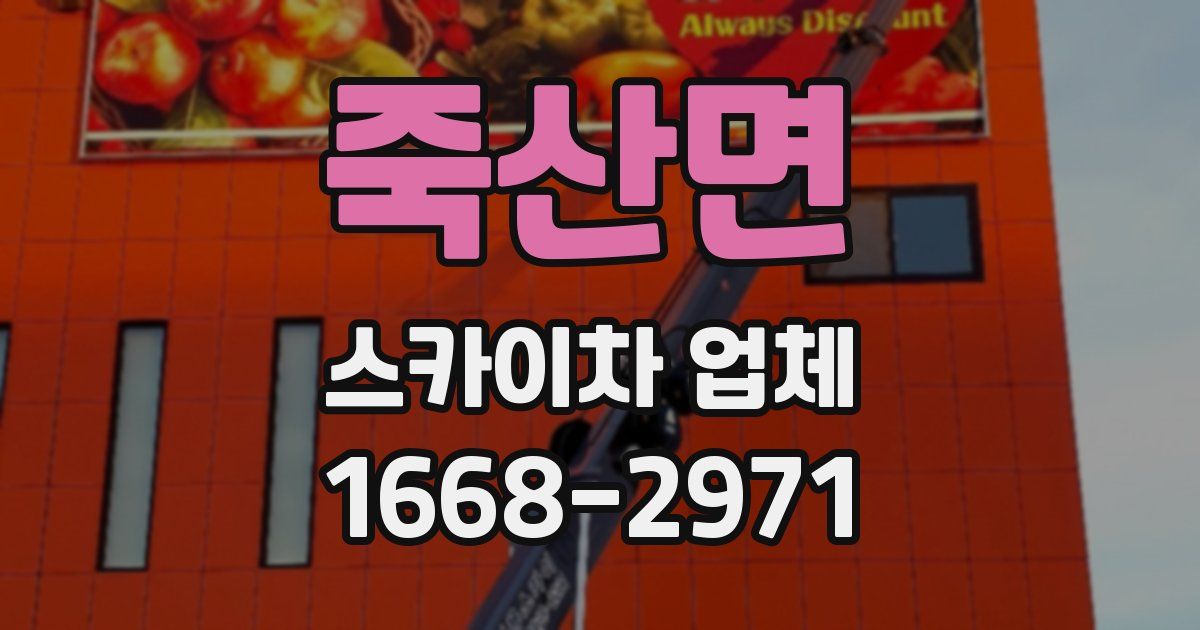 죽산면 스카이차 업체