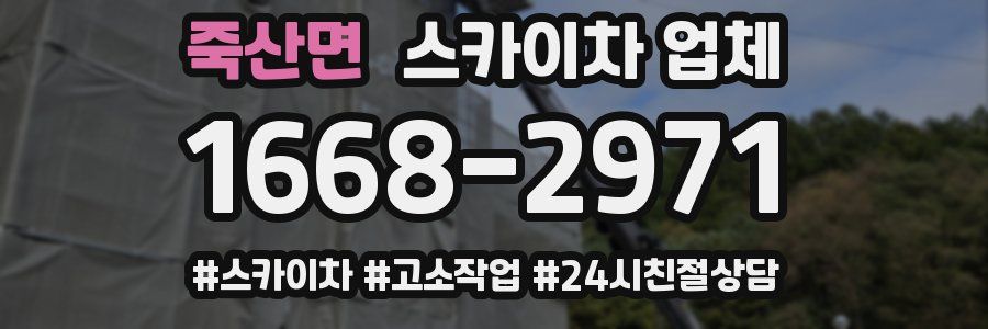 죽산면 스카이차 업체