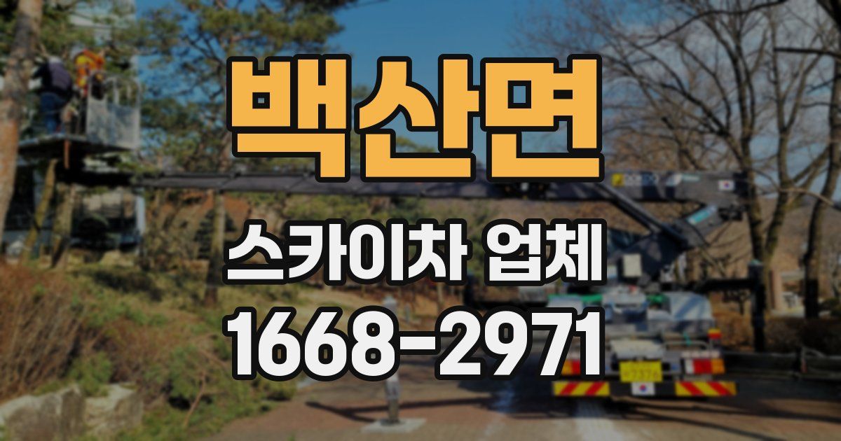백산면 스카이차 업체