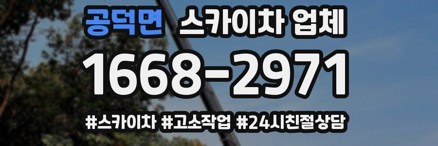 공덕면 스카이차 업체