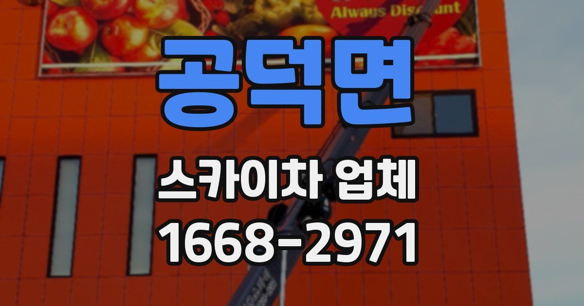공덕면 스카이차 업체