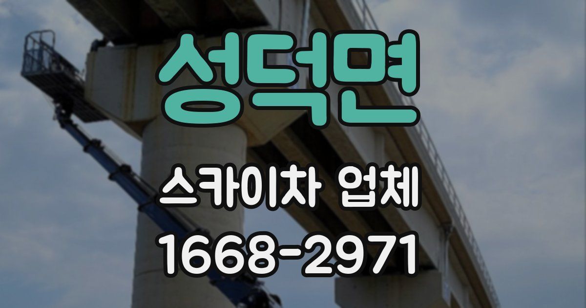 성덕면 스카이차 업체
