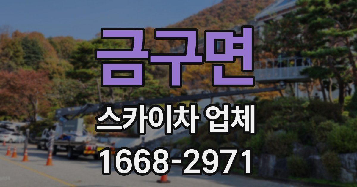 금구면 스카이차 업체