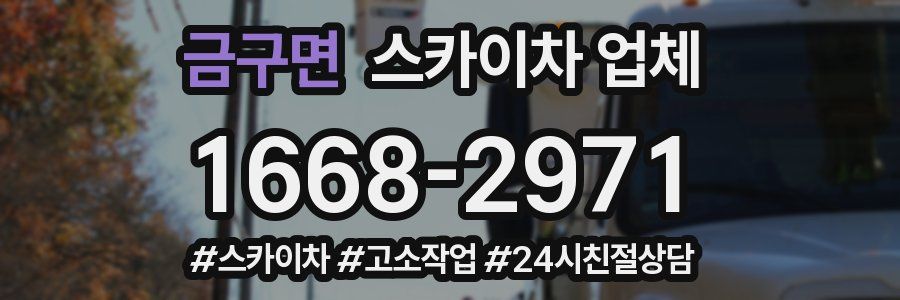금구면 스카이차 업체