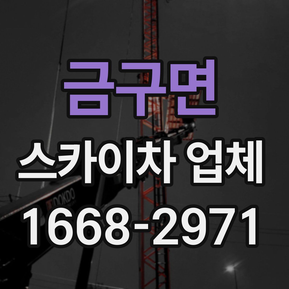 금구면 스카이차 업체