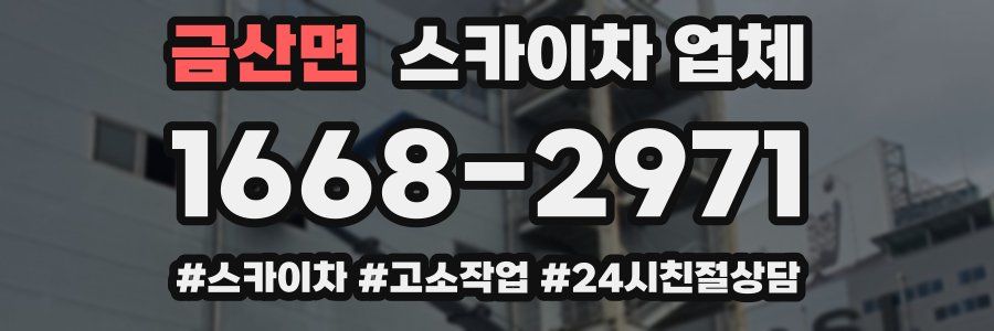 금산면 스카이차 업체