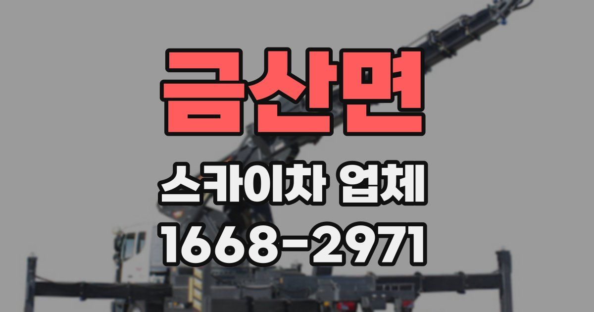 금산면 스카이차 업체